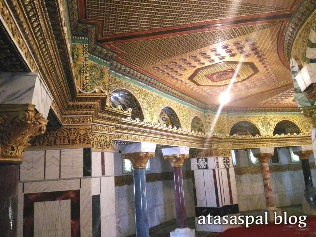 IMG_20160209_173035.jpg image