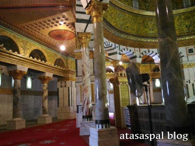 IMG_20160209_174142.jpg image