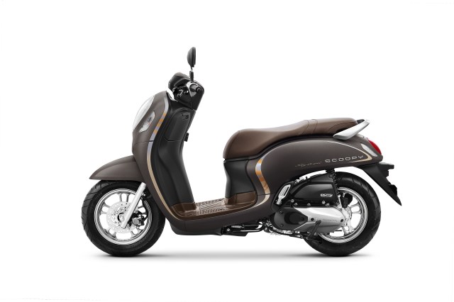 All New Scoopy Stylish 2020 Brown